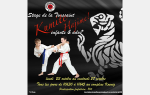 Stage de la Toussaint Kumite